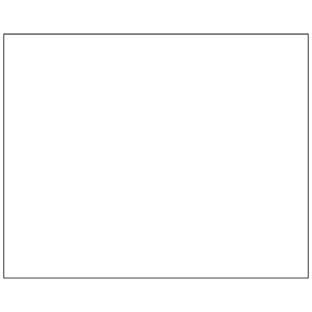 Bsc Preferred 8 x 10'' - White Block Out Labels BUY00028531